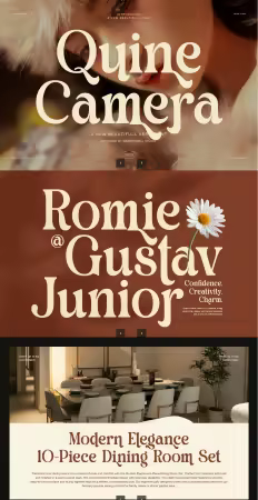 EE - Quine Camera Elegant Serif Font VKJ7KV3