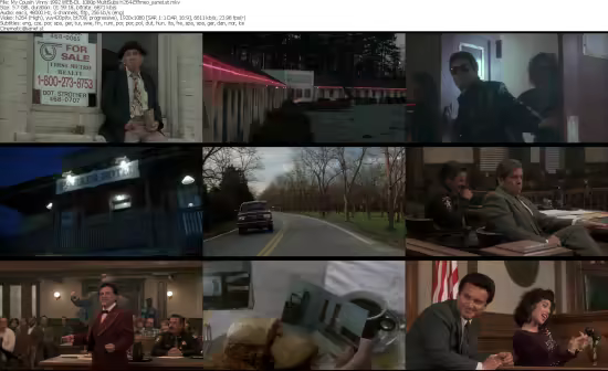 My Cousin Vinny 1992 WEB-DL 1080p MultiSubs h264-Effmeo