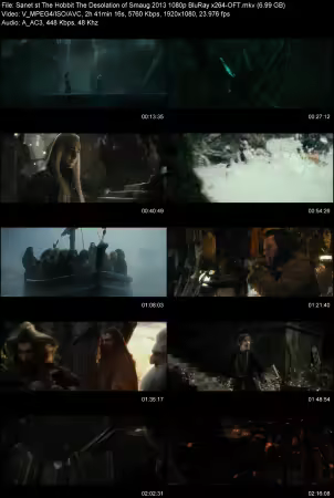 The Hobbit The Desolation of Smaug 2013 1080p BluRay x264-OFT