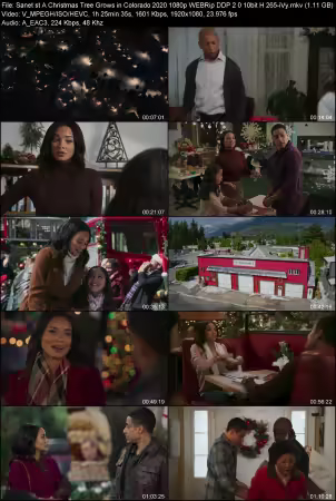 A Christmas Tree Grows in Colorado 2020 1080p WEBRip DDP 2.0 10bit H265-iVy