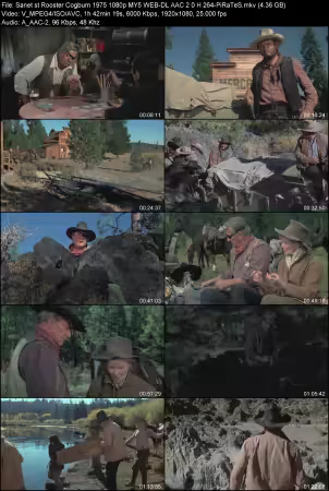 Rooster Cogburn 1975 1080p MY5 WEB-DL AAC 2.0 H264-PiRaTeS