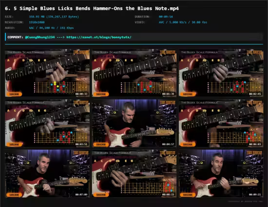 Blues Guitar Basics: Blues Scales, Licks &amp; Soloing for Lead