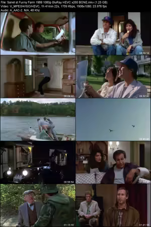 Funny Farm 1988 1080p BluRay HEVC x265 BONE