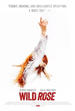 Wild Rose 2018 1080p WEB-DL DD 5.1 H264-FGT