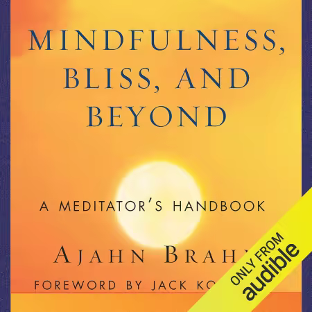 Mindfulness, Bliss, and Beyond: A Meditator's Handbook (Audiobook)
