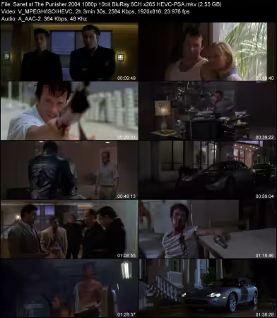 The Punisher 2004 1080p 10bit BluRay 6CH x265 HEVC-PSA