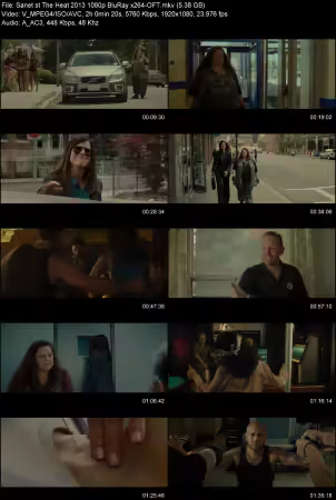 The Heat 2013 1080p BluRay x264-OFT