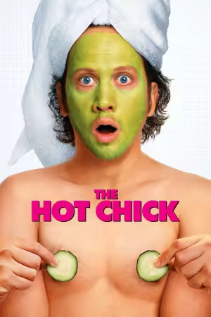The Hot Chick 2002 1080p WEB-DL HEVC x265 5.1 BONE
