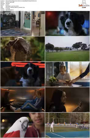 Cats and Dogs 3 Paws Unite 2020 1080p BDRip DTS H264-PoPCoRn