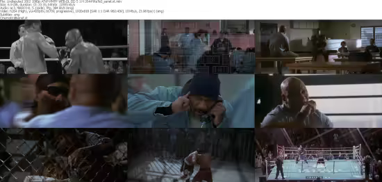 Undisputed 2002 1080p ATVP PMTP WEB-DL DD 5 1 H 264-PiRaTeS