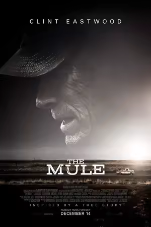 The Mule 2018 1080p YT WEB-DL AAC 2.0 H264-PiRaTeS
