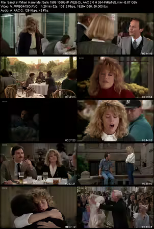 When Harry Met Sally 1989 1080p iP WEB-DL AAC 2.0 H264-PiRaTeS
