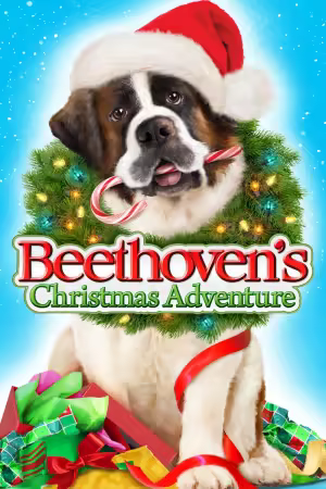 Beethovens Christmas Adventure 2011 1080p WEBRip x264 AC3-DiVERSiTY