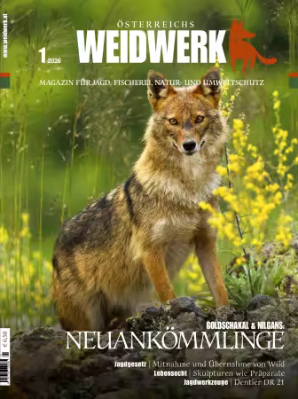 WEIDWERK - Nr.01, 2026