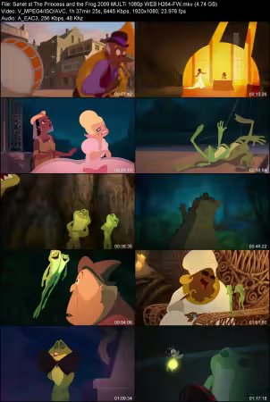 The Princess and the Frog 2009 MULTi 1080p WEB H264-FW