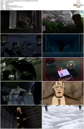 Batman The Dark Knight Returns Part 2 2013 1080p BDRip DTS H264-PoPCoRn
