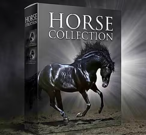 Horse Collection 202602802 - Full Year 2026 Collection