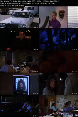 The Banker 1989 1080p BluRay DDP 2.0 10bit H265-iVy
