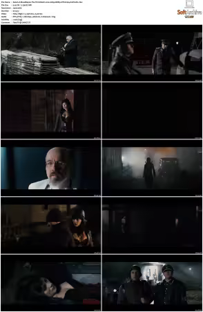 BloodRayne The Third Reich 2010 1080p BDRip DTS H264-PoPCoRn