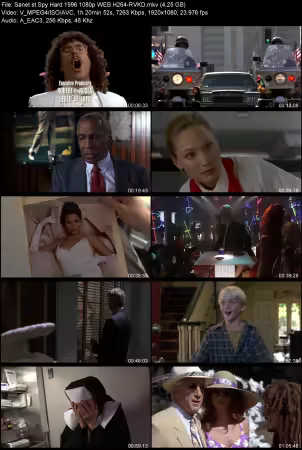 Spy Hard 1996 1080p WEB H264-RVKD