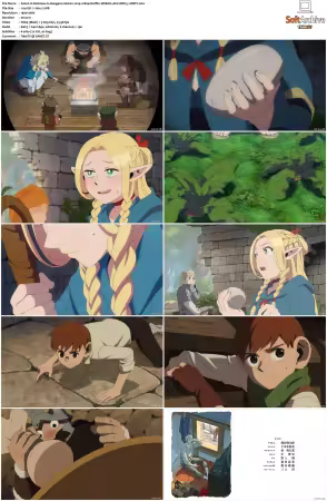 Delicious in Dungeon S01 1080p Netflix WEB-DL x264 DDP 5.1-DBTV