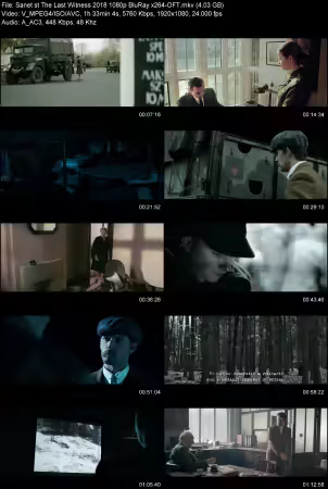 The Last Witness 2018 1080p BluRay x264-OFT