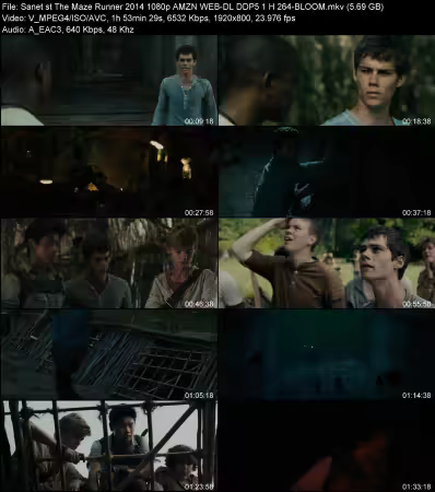 The Maze Runner 2014 1080p AMZN WEB-DL DDP 5.1 H264-BLOOM