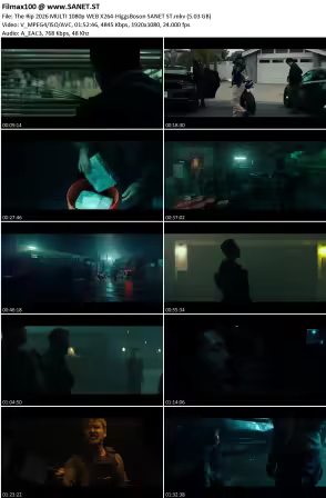 The Rip 2026 MULTI 1080p WEB X264-HiggsBoson