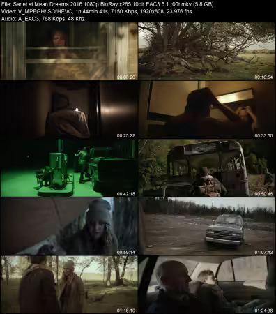 Mean Dreams 2016 1080p BluRay x265 10bit EAC3 5.1 r00t