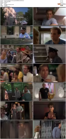 It Could Happen to You 1994 1080p WEBRip x264-SUP3R