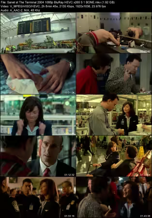 The Terminal 2004 1080p BluRay HEVC x265 5.1 BONE