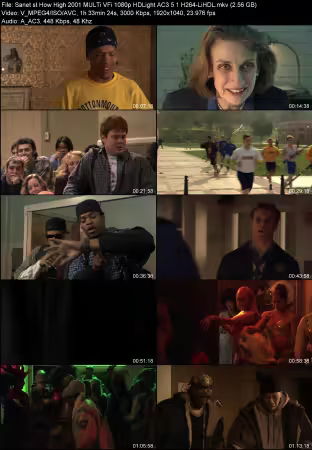 How High 2001 MULTi VFi 1080p HDLight AC3 5.1 H264-LiHDL
