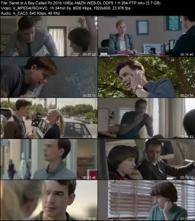 A Boy Called Po 2016 1080p AMZN WEB-DL DDP 5.1 H264-PTP
