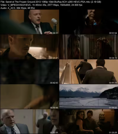 The Frozen Ground 2013 1080p 10bit BluRay 6CH x265 HEVC-PSA