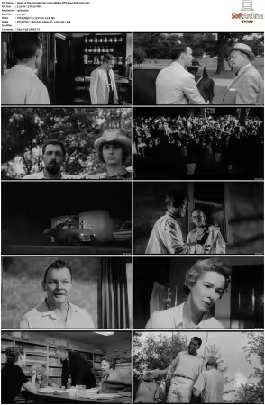 The Intruder 1962 1080p BDRip DTS H264-PoPCoRn