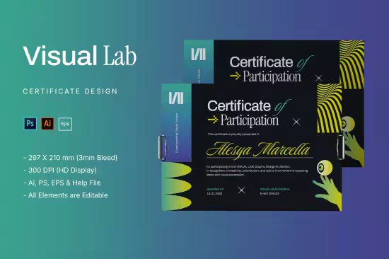 EE - Visual Lab - Certificate JUAW89Z