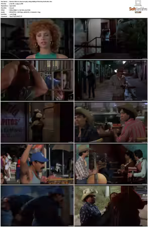 Born in East L.A. 1987 1080p BDRip DTS H264-PoPCoRn