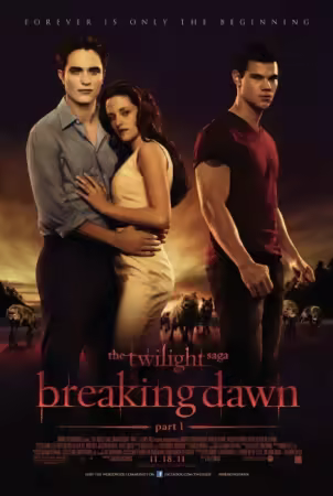 Breaking Dawn Teil 1 2011 German DL AC3 1080p BluRay x265-FuN