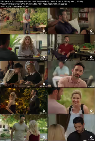 A Little Daytime Drama 2021 1080p WEBRip DDP 5.1 10bit H265-iVy