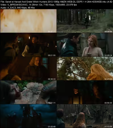 Hansel And Gretel Witch Hunters 2013 1080p AMZN WEB-DL DDP 5.1 H264-HDSWEB