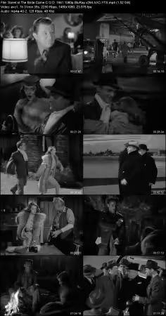 The Bride Came C.O.D. 1941 1080p BluRay x264 AAC-YTS