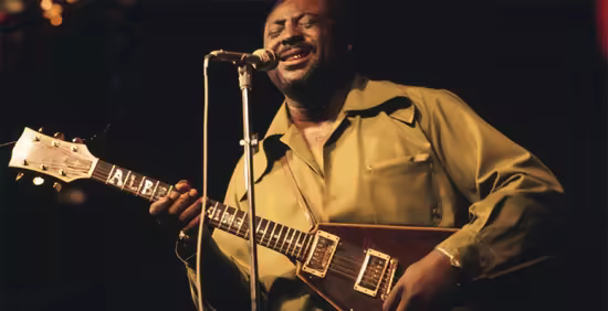 Lick Library - Albert King Guitar Lessons