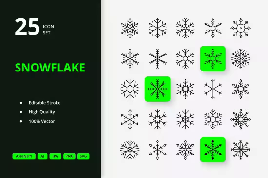 EE - 25 Snowflakes Icons PRUV335