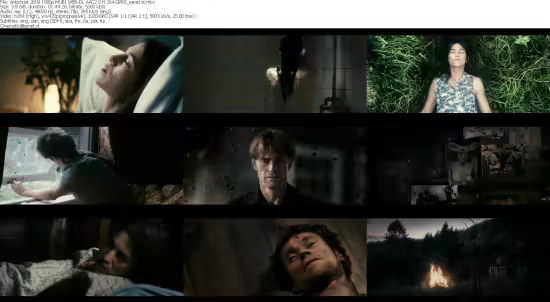 Antichrist 2009 1080p MUBI WEB-DL AAC2 0 H 264-GPRS