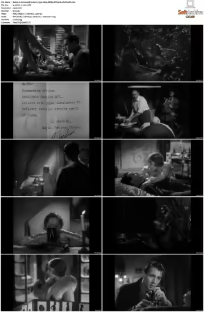A Farewell to Arms 1932 1080p BDRip DTS H264-PoPCoRn