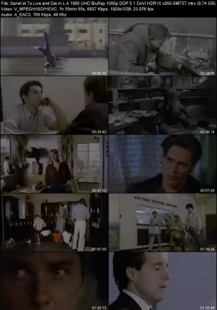 To Live and Die in L.A. 1985 UHD BluRay 1080p DDP 5.1 DoVi HDR10 x265-SM737