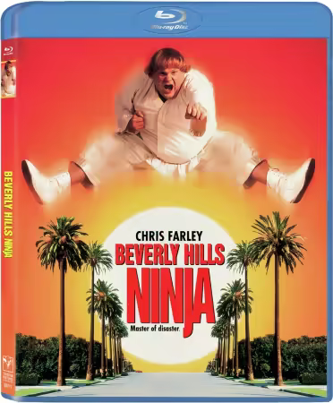 Beverly Hills Ninja 1997 1080p BluRayRip EAC3 5.1 x265-Lootera