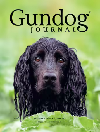 Gundog Journal - Volume VIII, Issue V, 2026