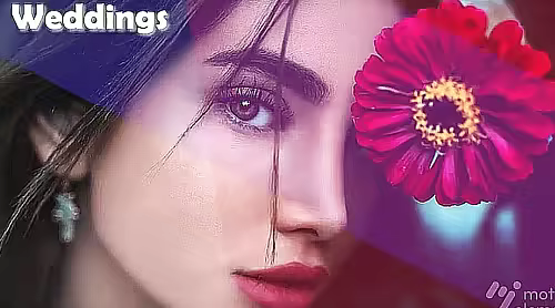 Amorous Slideshow 13225155 - Premiere Pro Templates