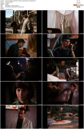 China Beach 1988 S01-S04 1080p H265 AAC 2CH-MNKYDDL